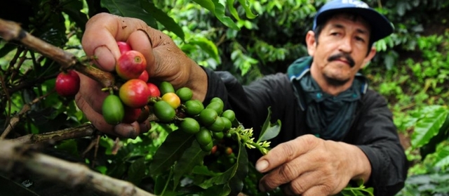 Economic Change in Latin America