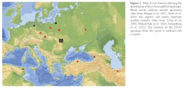 The Europeans Expand