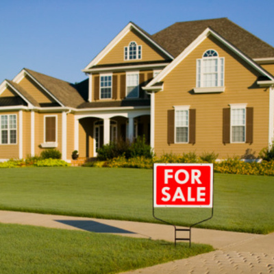 Timeline: Sigal Reality