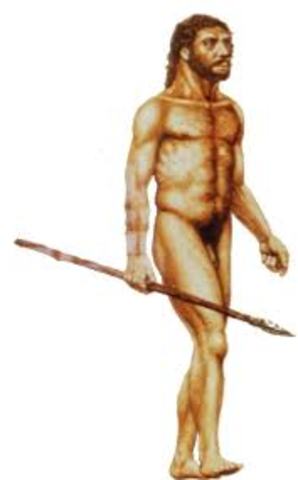 Homo Neanderthalensis