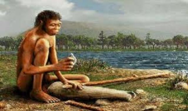 Homo Erectus
