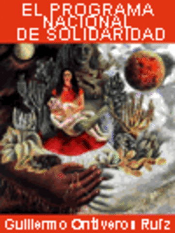 Programa Nacional Solidaridad (PRONASOL)
