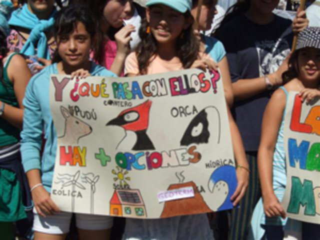 Manifestacion Ecológica.