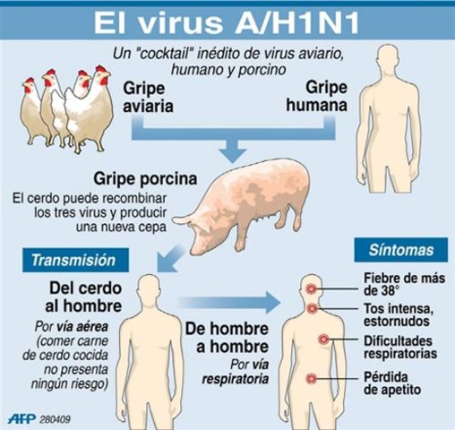 Se detecta el virus AH1N1 en México