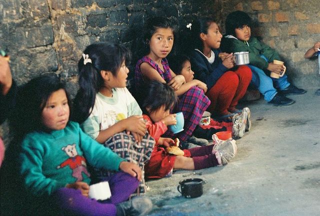 Programa Alimentario Nacional