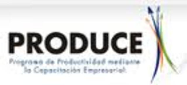 PRODUCE (PROGRAMA DE APOYOS DIRECTOS Y PRODUCTIVOS AL CAMPO)