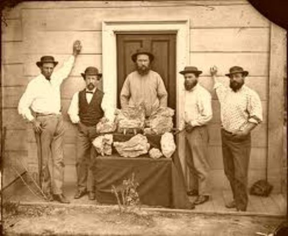 Gold Rush In Bathurst