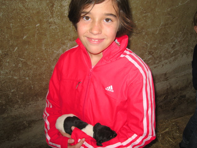 Tuve mi primer perro