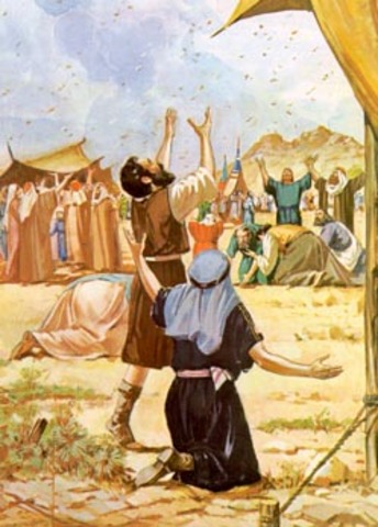 Midbar Sin - Basic Training  (Part 1) (15 Iyar)