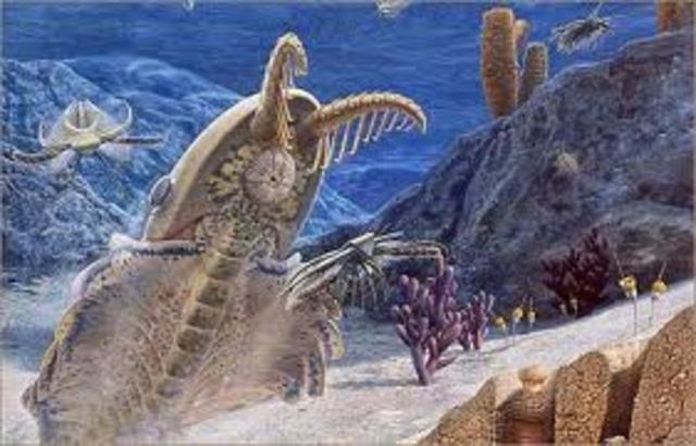 Cambrian Period