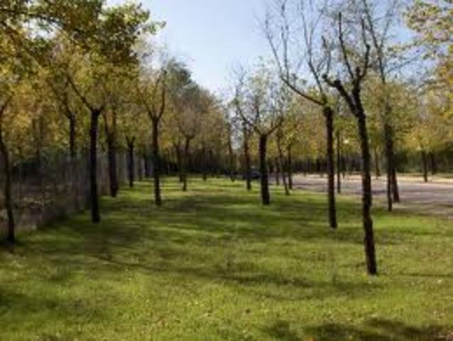 Johan Sebastian Giraldo Lizcano