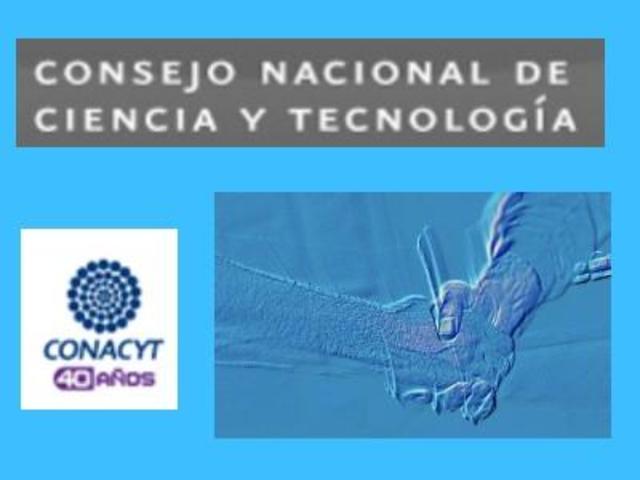 Consejo Nacional de Ciencia y Tecnología