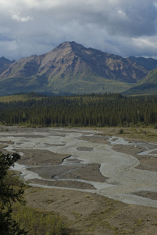 Stampede Trail Project Begins