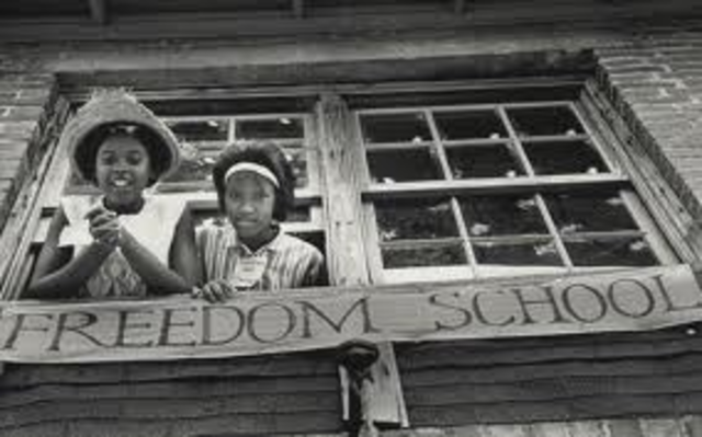 freedom summer