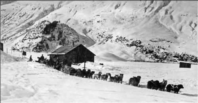 Stampede Trail Blazed