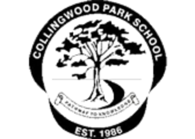 Started Primary School