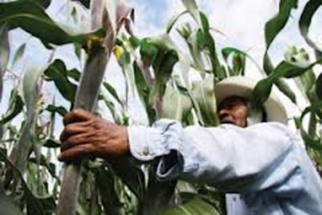 Creacion de la Ley de Reforma Agraria.