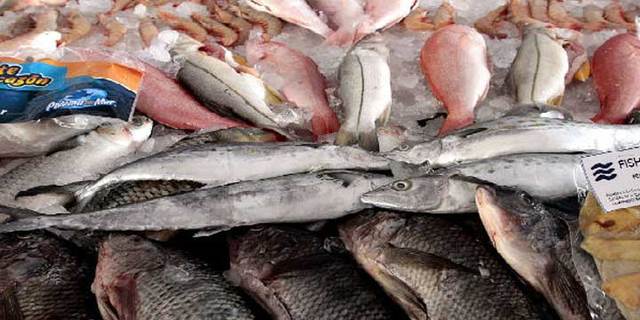 Programa Nacional Pesquero.