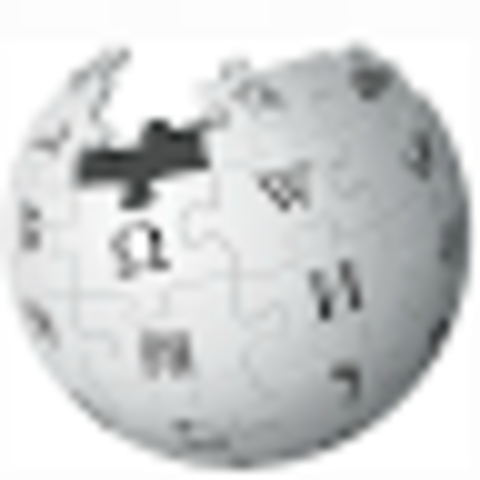 Wikipedia is launched