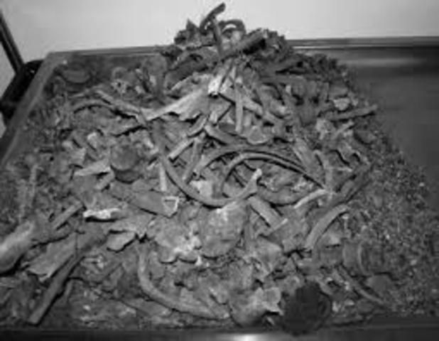 Two skeletal remains found near Ekaterinburg, Russia were confirmed by Russian scientists to be the remains of Alexei Nikolaevich, Tsarevich of Russia and one of his sisters.