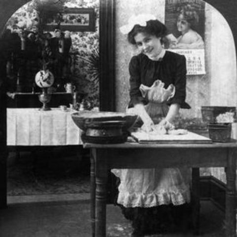 The federal woman suffrage amendment is introduced