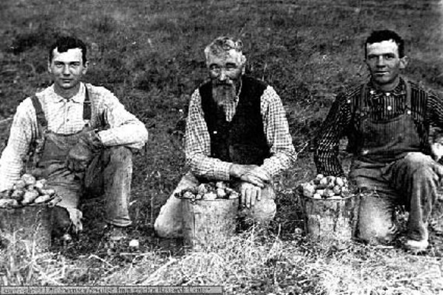 New Wave Of Immigrants