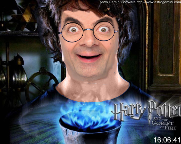 Harry bean