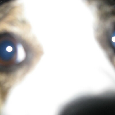 Timeline: Ben's Timeline