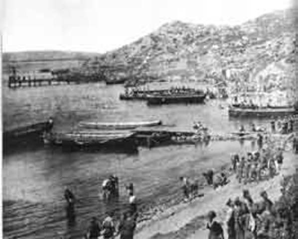 Gallopli Anzac - WW1