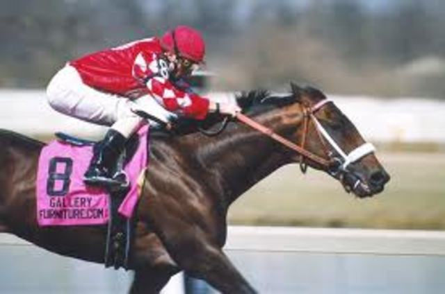 First Melborne cup horse race