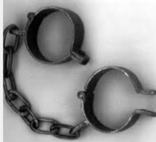 the first African immigration