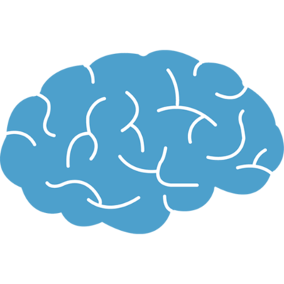 Timeline: Anatomic.us Game