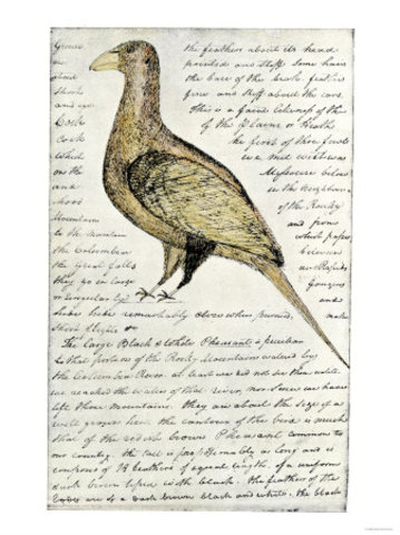 Charbonneau, Sacagawea, and Jean Baptist leave