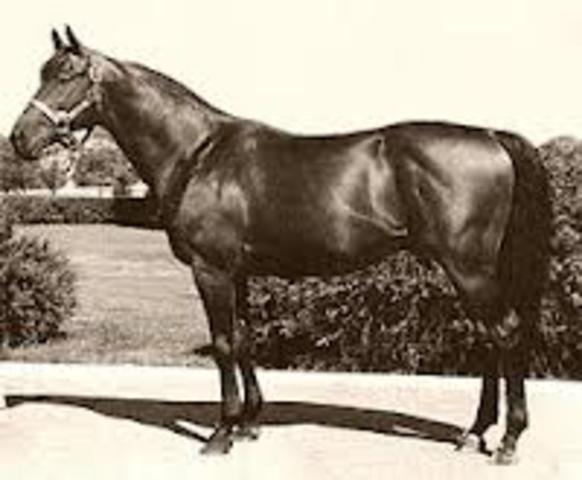 Citation the horse wins the 1948 Triple crown
