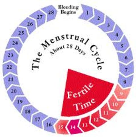 begining of last menstal cycle