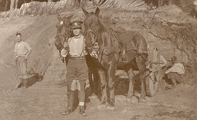 ch 17 sec 2 Declare war