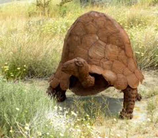 Pliocene era   12 mya