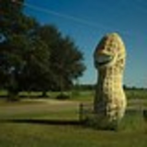 Jimmy Takes the Buiseness