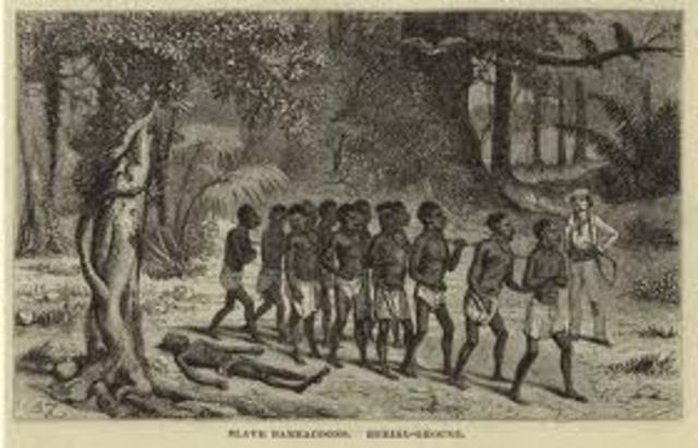 enslaved natives