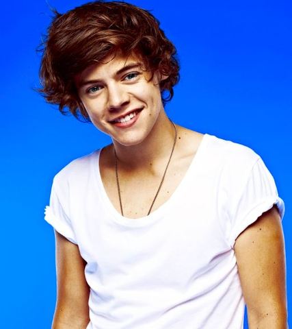 Harry Styles was born