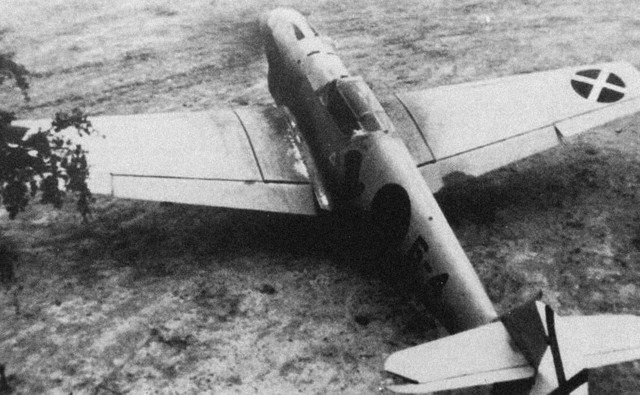 The Holocasut Project