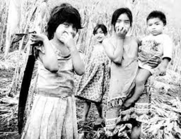 Programa Económico de Desarrollo Estabilizador