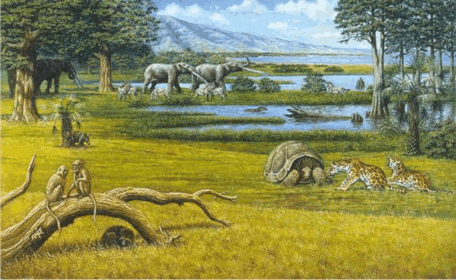Pliocene 12 MYA - 3 MYA