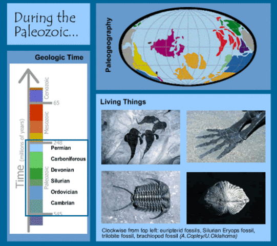 Paleozoic Era 570 - 225 MYA