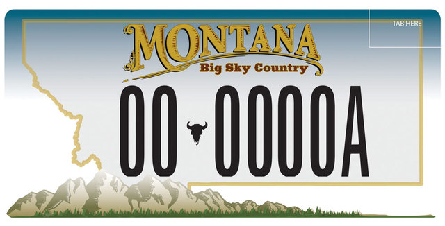 Vehicle registration law mandates license plates on automobiles