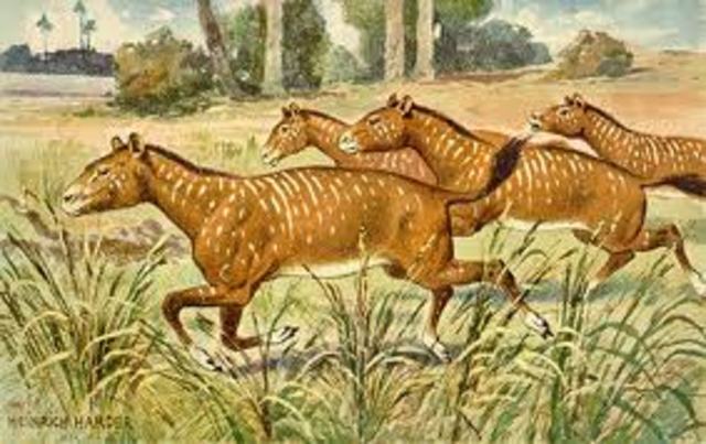 The Paleogene Period