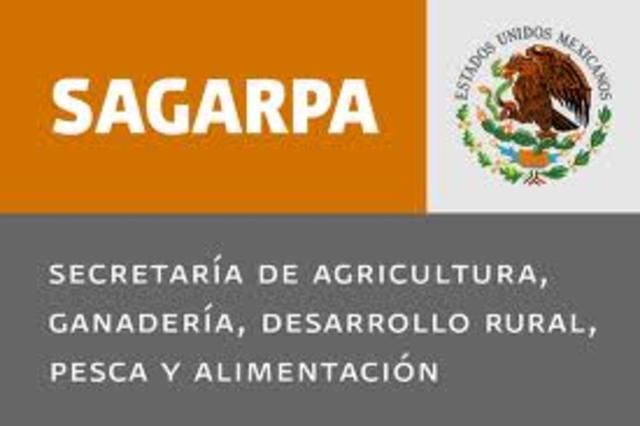 -Programa Sectorial de Agricultura, Ganadería, Desarrollo Rural, Pesca y Alimentación 2001- 2006.