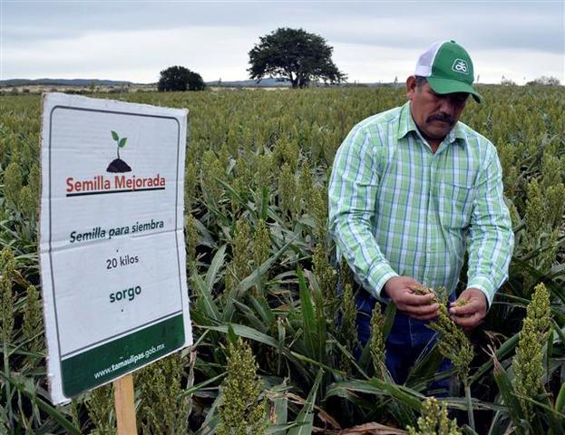 Programa de apoyos directos y productivos al campo (Produce)
