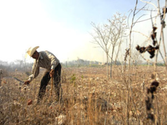 Reparto masivo de tierras