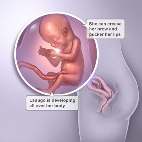 Week 14 Sense of Taste